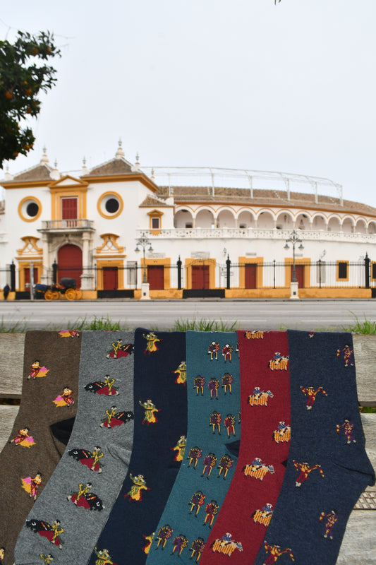 Tarde de toros