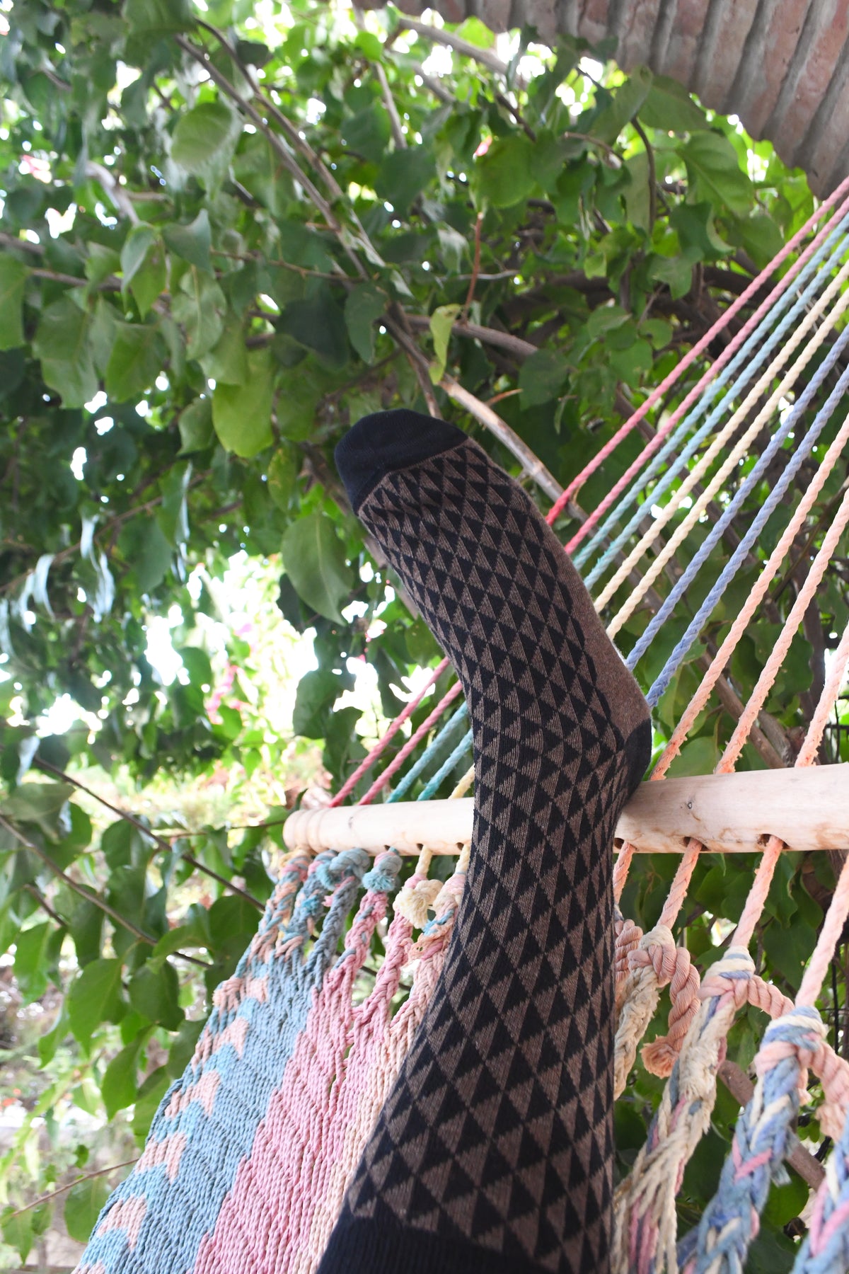 Triángulos